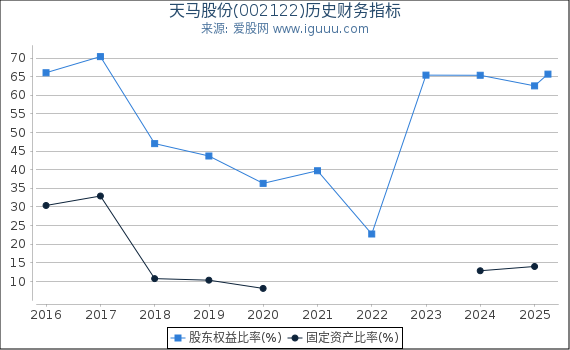 天马股份(002122)股东权益比率、固定资产比率等历史财务指标图
